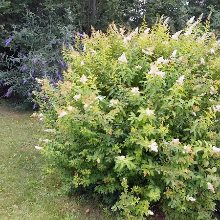 Εξοχικό σπίτι Einhornhaus Schottwien