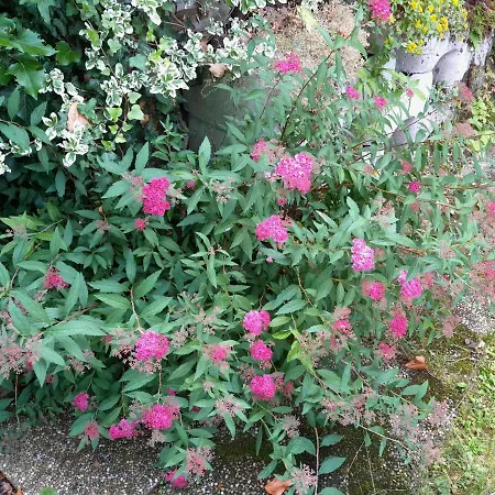 Hétvégi ház Einhornhaus