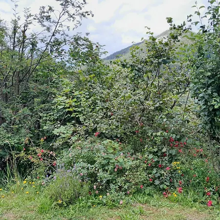 Einhornhaus Hétvégi ház