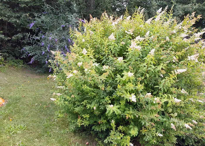 Country house Einhornhaus Schottwien