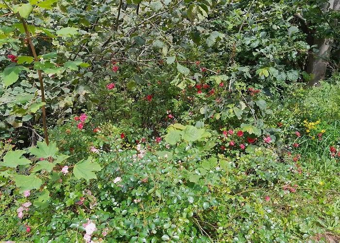 Einhornhaus Hétvégi ház Schottwien