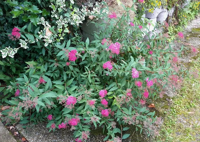 Hétvégi ház Einhornhaus