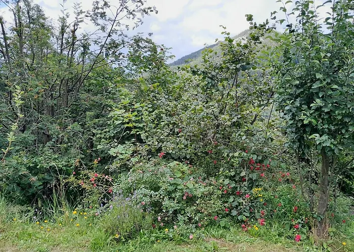 Einhornhaus Hétvégi ház